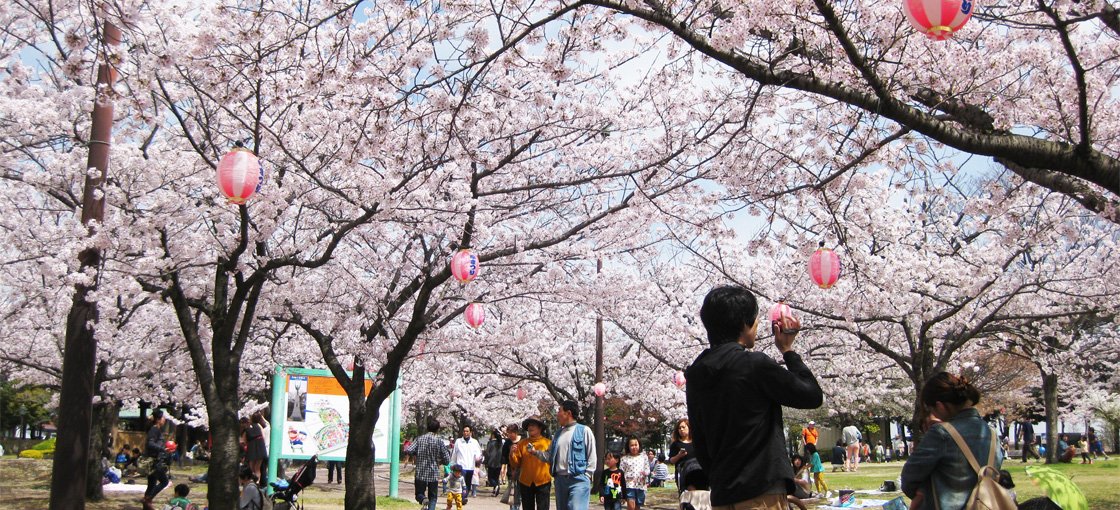 🎡 헤키난시 아카시 공원 이미지 9